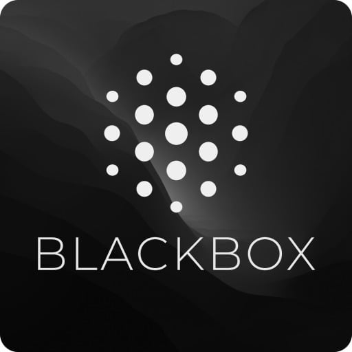 What is Blackbox AI