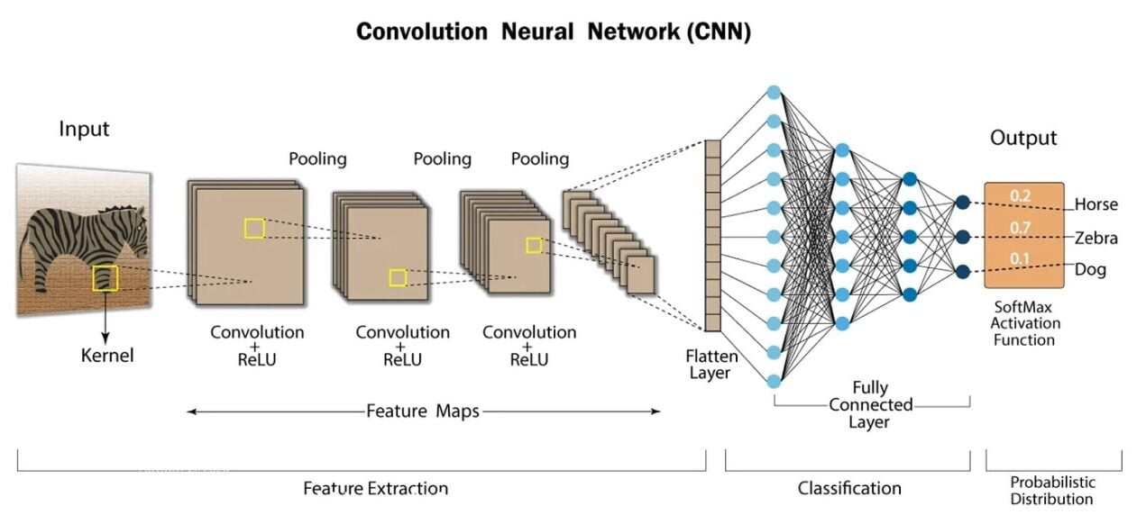 Convolutional Neural Networks (CNNs)