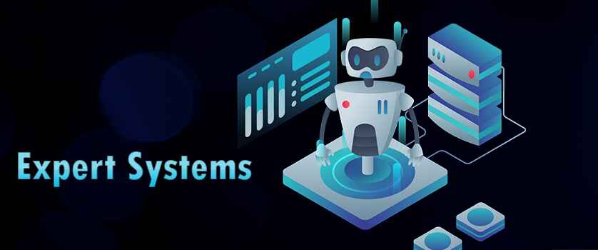 Understanding Expert Systems